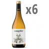 Blanco, Sommelier.
