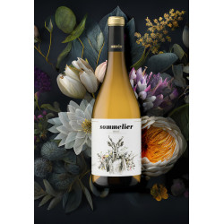 Blanco, Sommelier.